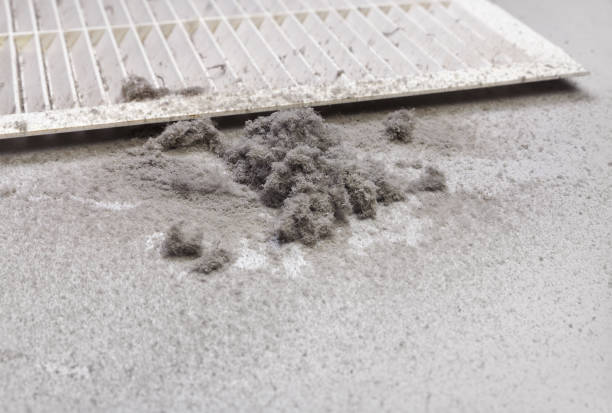 Best Professional Duct Cleaning Services  in Jefferson City, TN