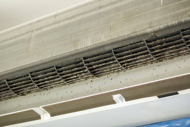 Air Duct Mold Removal in Jefferson City, TN